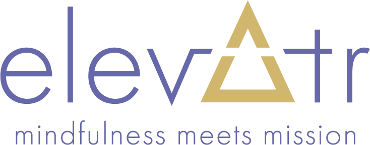 Logo for Elevatr leadership consulting services 